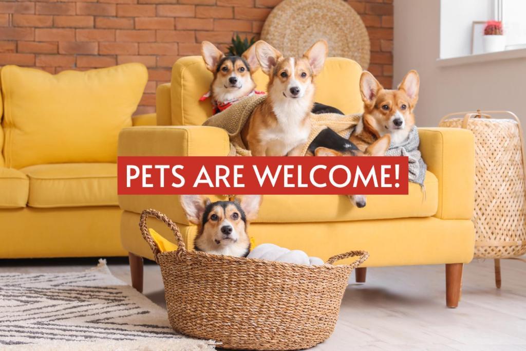 프레드릭스버그 Pet Friendly! Hot Tub, 2Mins From Main, Fire Pit 빌라 외부 사진
